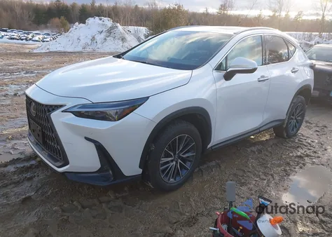 2025 Lexus Nx 350 Premium z USA, uszkodzony, nr VIN 2T2GGCEZ7SC077861